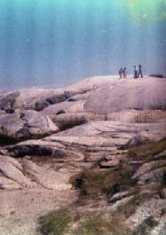 On the Rocks at Peggys Cove